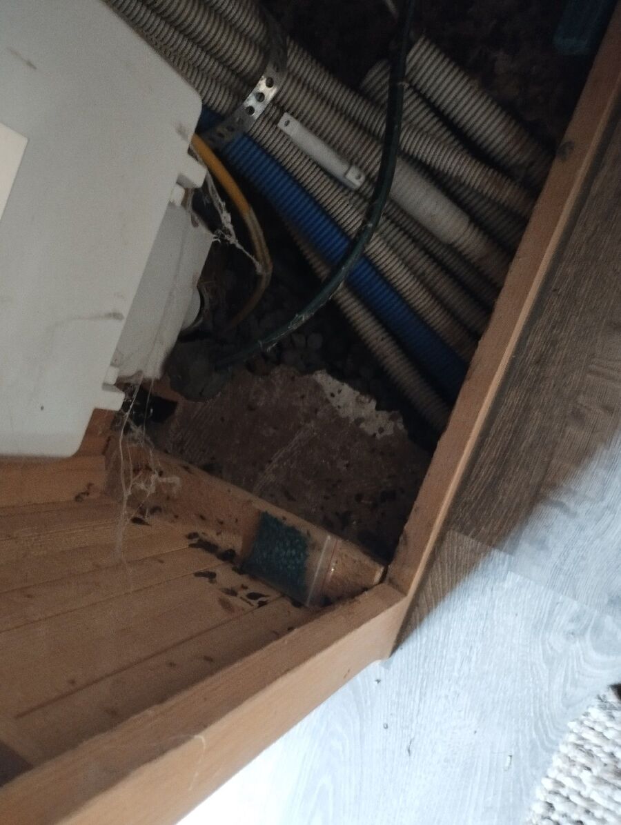 ratten_bekaempfung_ratten_vertreiben