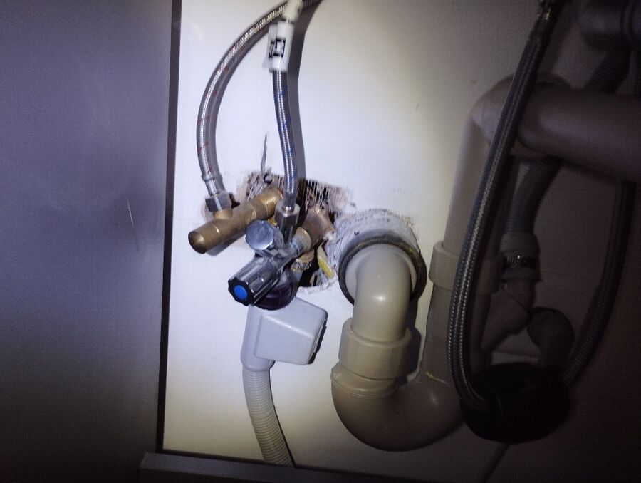 ratten_bekaempfung_ratten_vertreiben