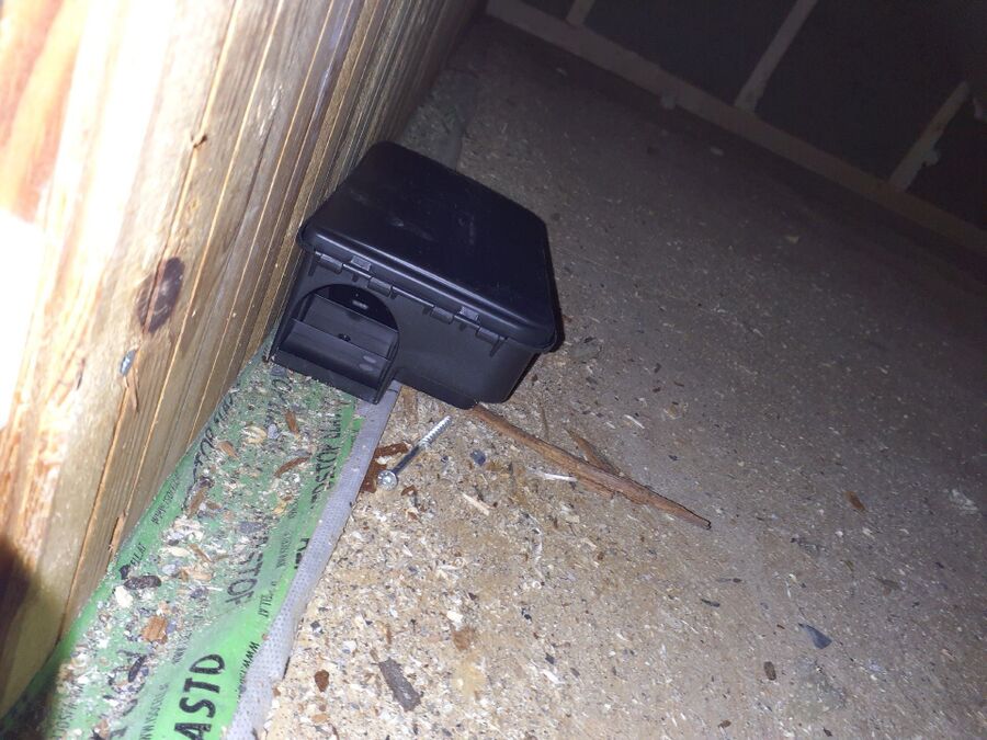 ratten_bekaempfung_ratten_vertreiben