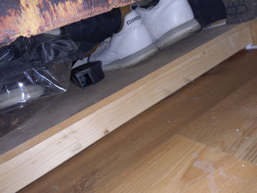 ratten_bekaempfung_ratten_vertreiben