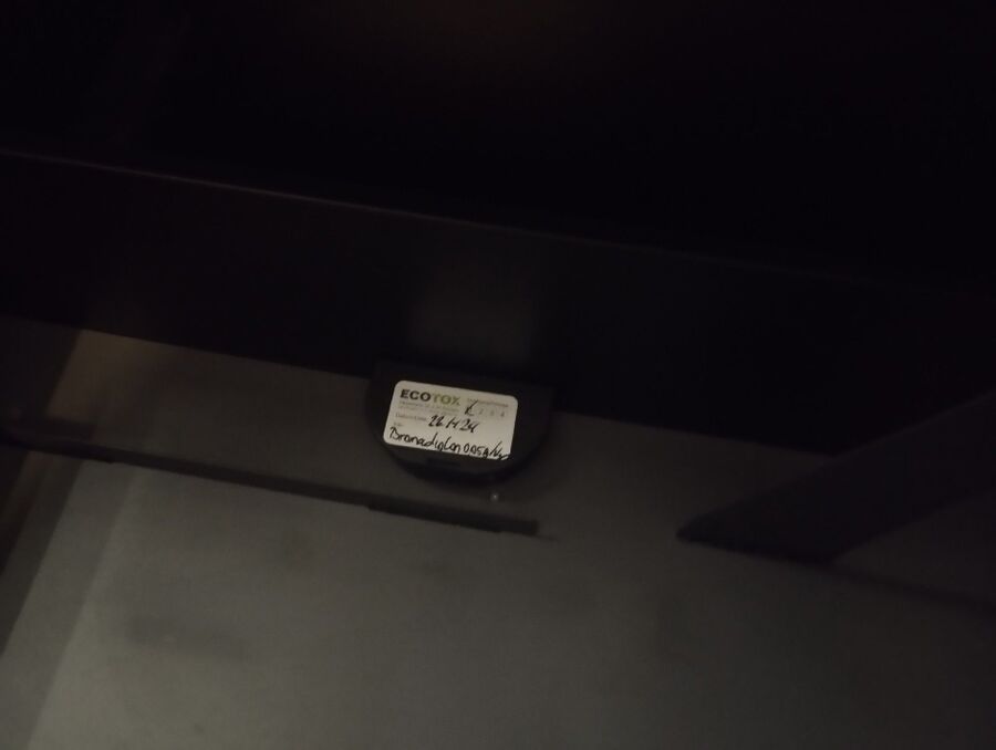 ratten_bekaempfung_ratten_vertreiben