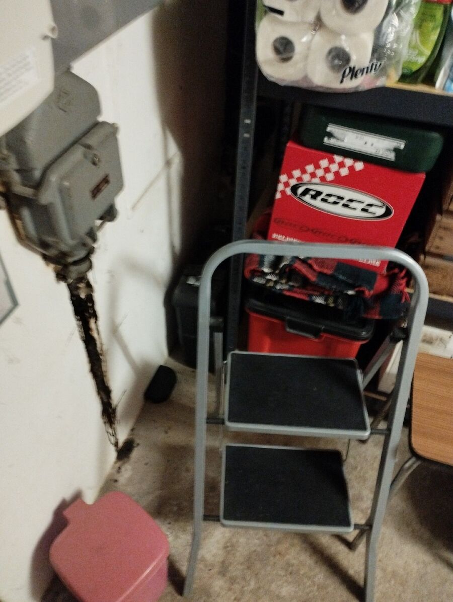 ratten_bekaempfung_ratten_vertreiben