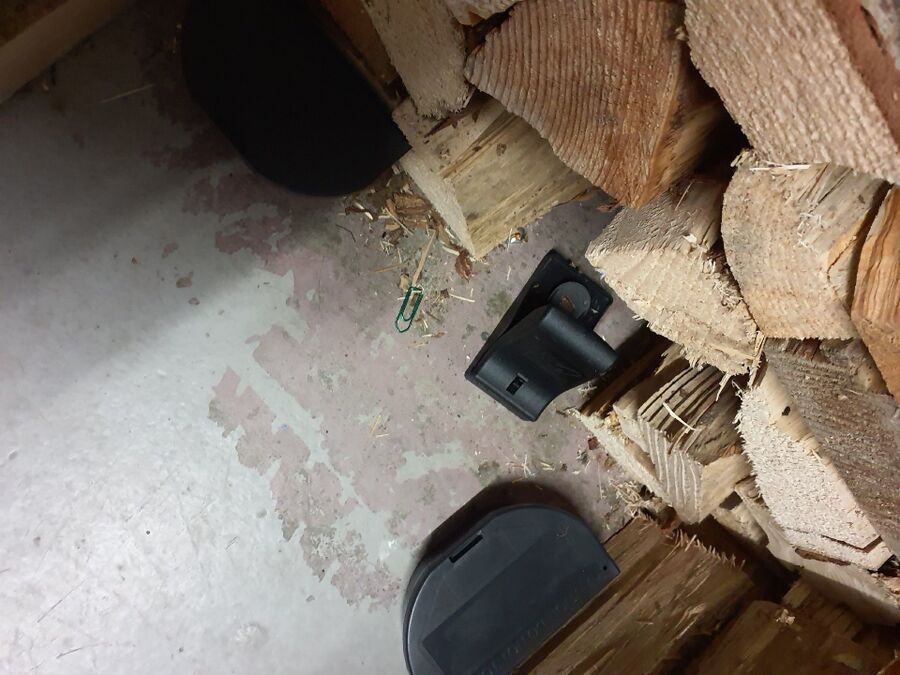 ratten_bekaempfung_ratten_vertreiben