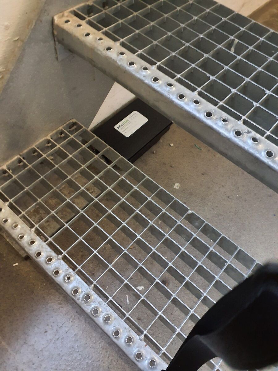 ratten_bekaempfung_ratten_vertreiben