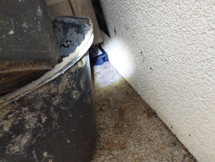 ratten_bekaempfung_ratten_vertreiben