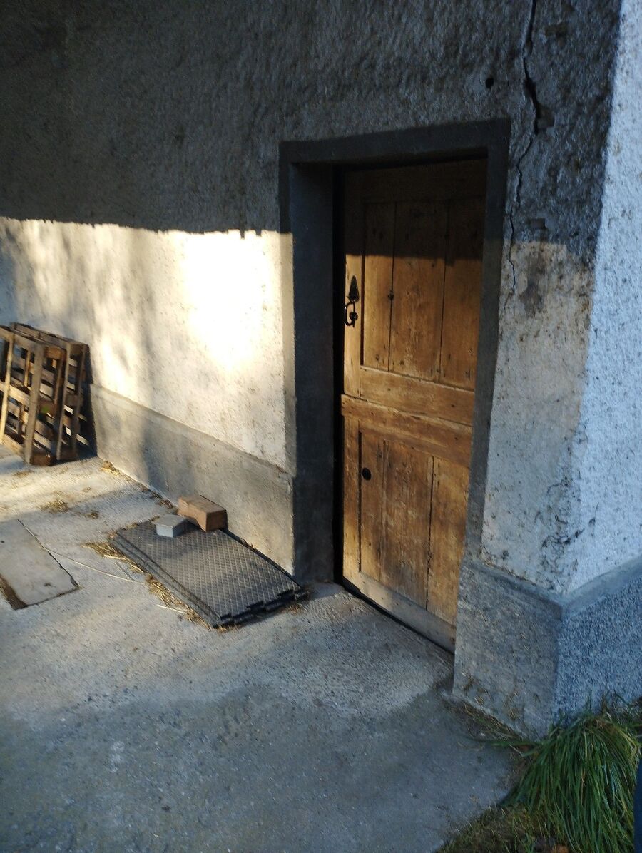 ratten_bekaempfung_ratten_vertreiben