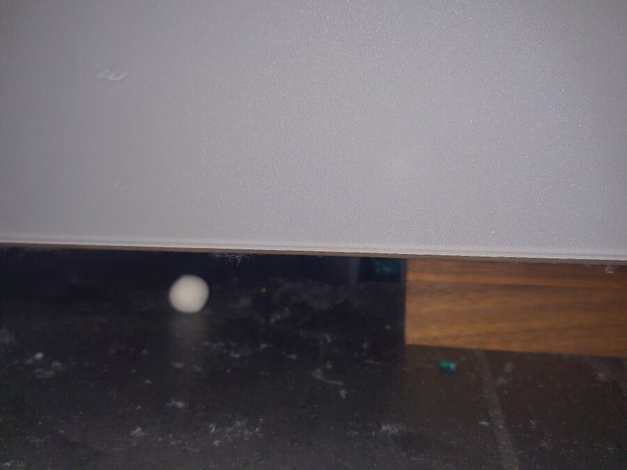 ratten_bekaempfung_ratten_vertreiben