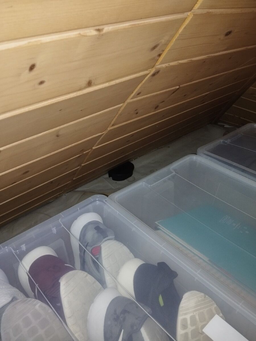 ratten_bekaempfung_ratten_vertreiben