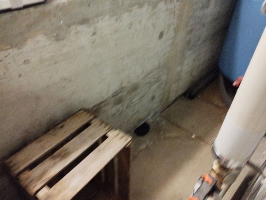 ratten_bekaempfung_ratten_vertreiben