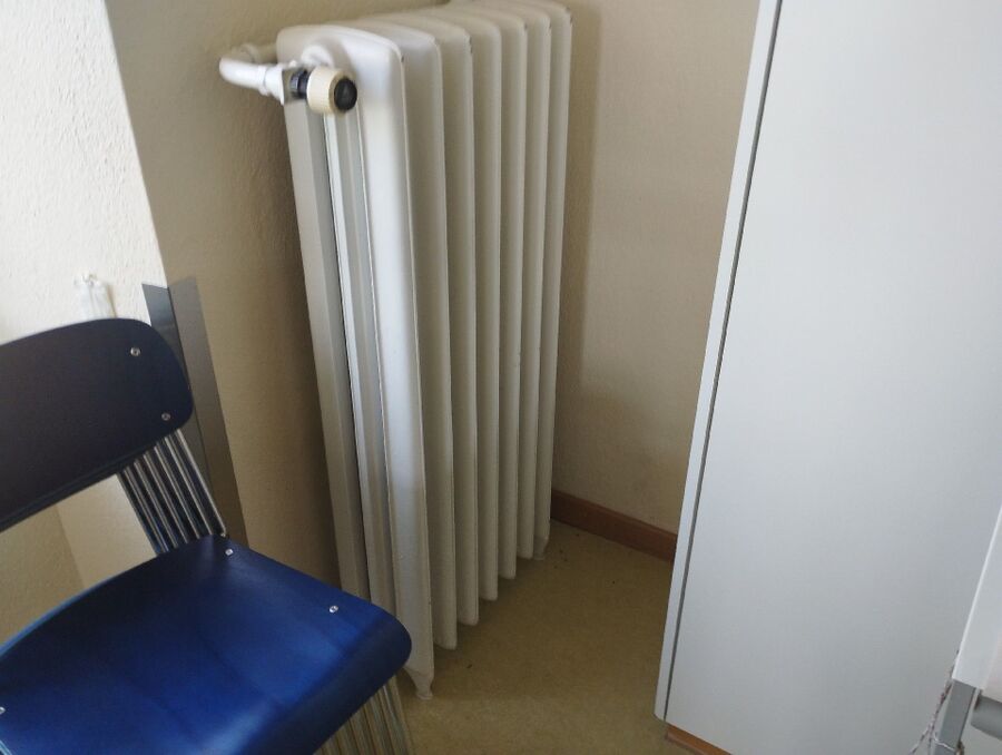 ratten_bekaempfung_ratten_vertreiben