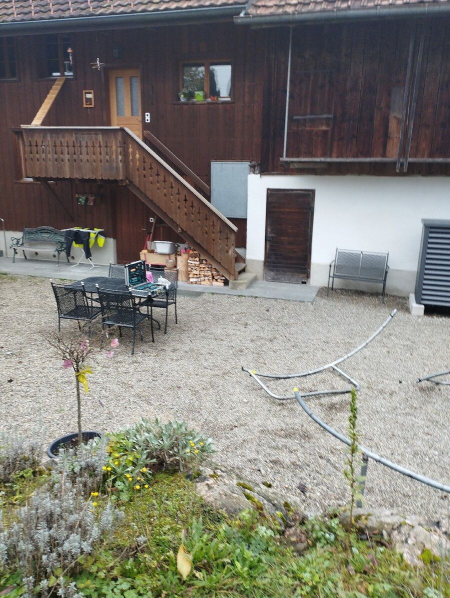 ratten_bekaempfung_ratten_vertreiben