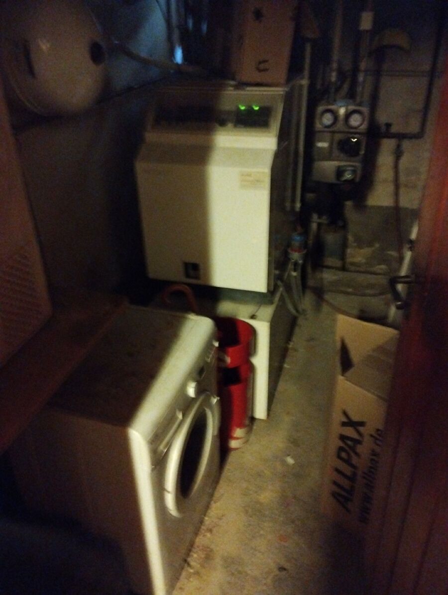 ratten_bekaempfung_ratten_vertreiben