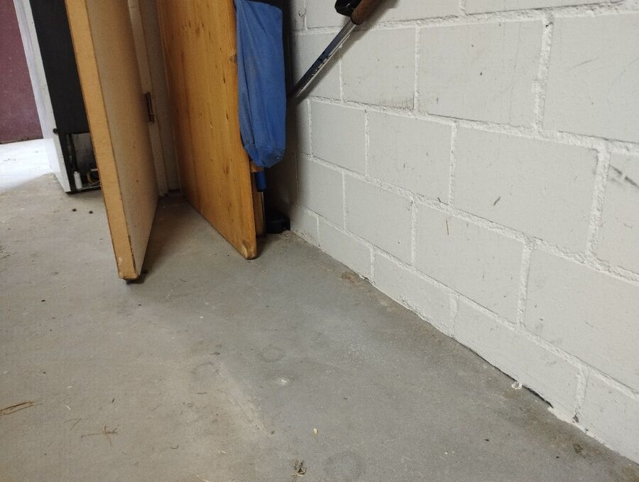 ratten_bekaempfung_ratten_vertreiben