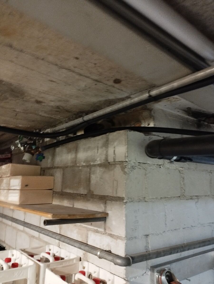 ratten_bekaempfung_ratten_vertreiben