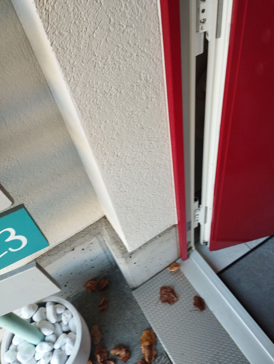 ratten_bekaempfung_ratten_vertreiben