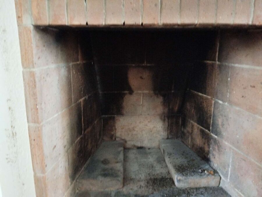 wespennest_entfernen