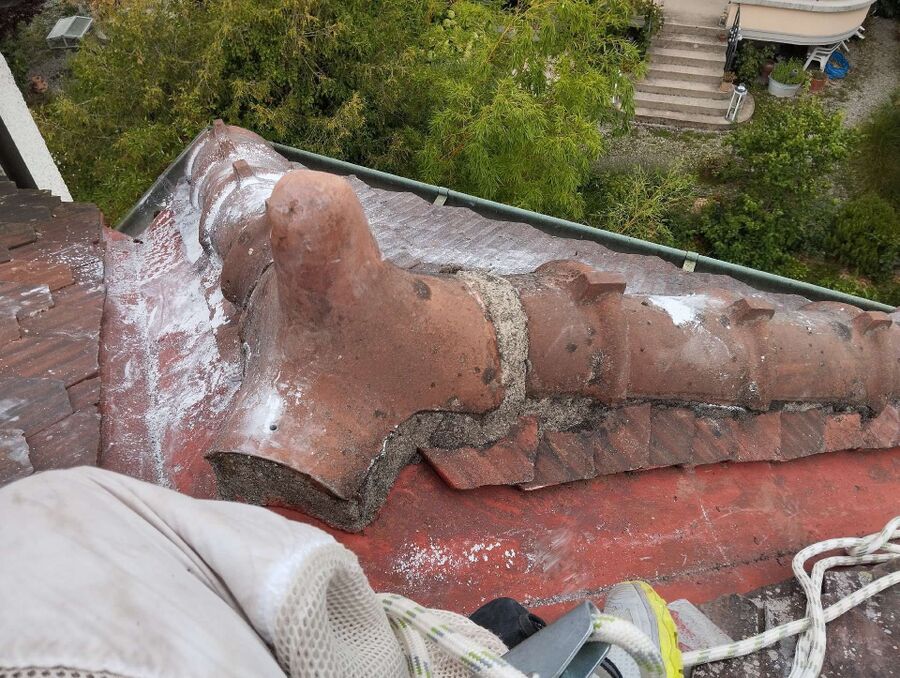 wespennest_entfernen