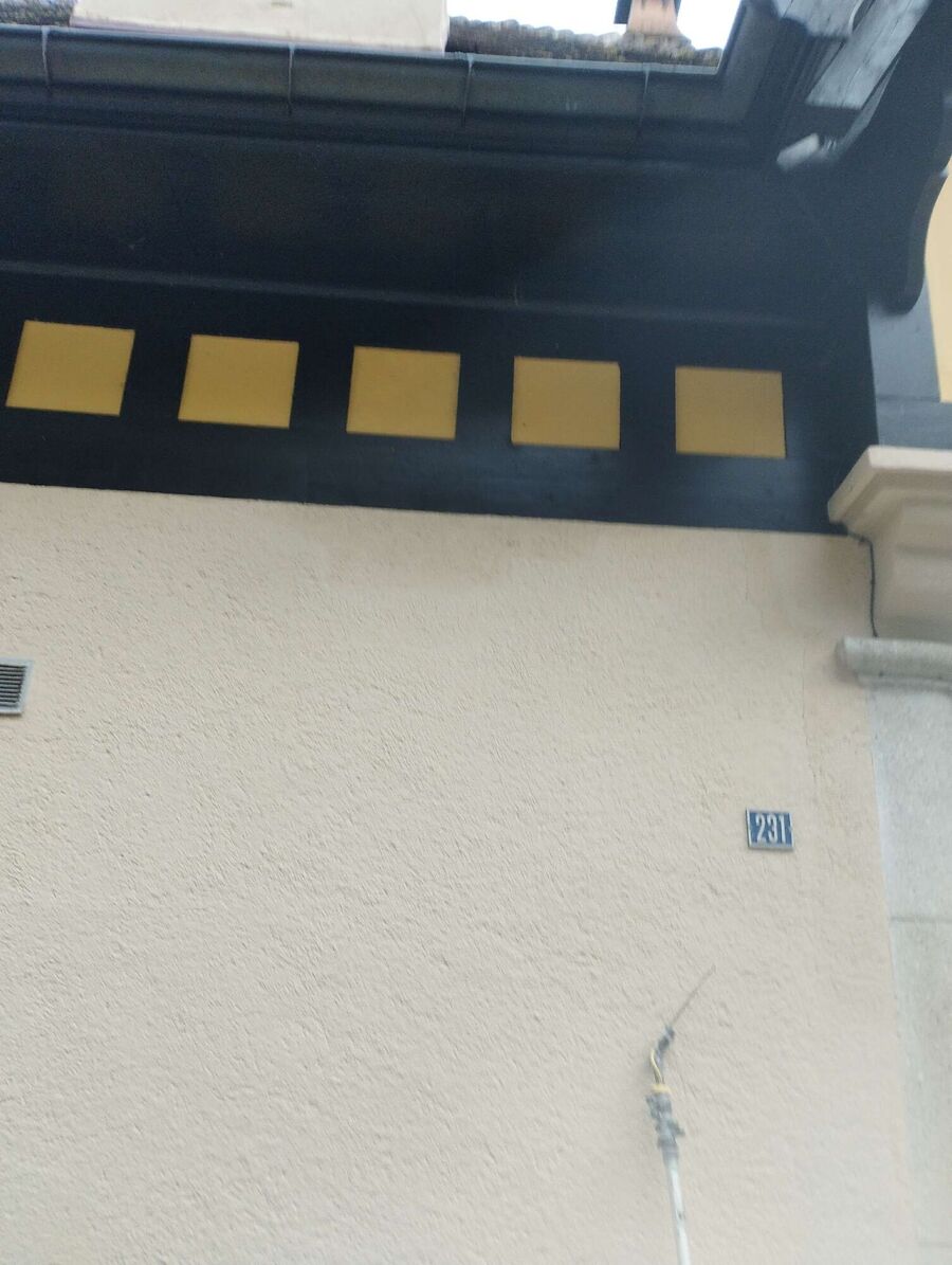 wespennest_entfernen