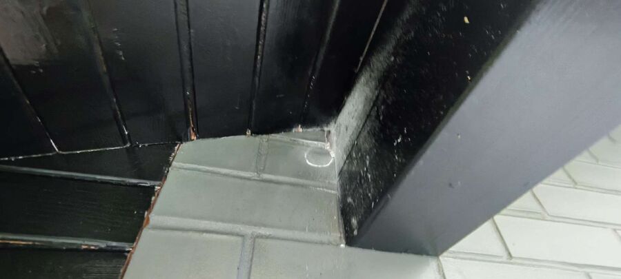 wespennest_entfernen