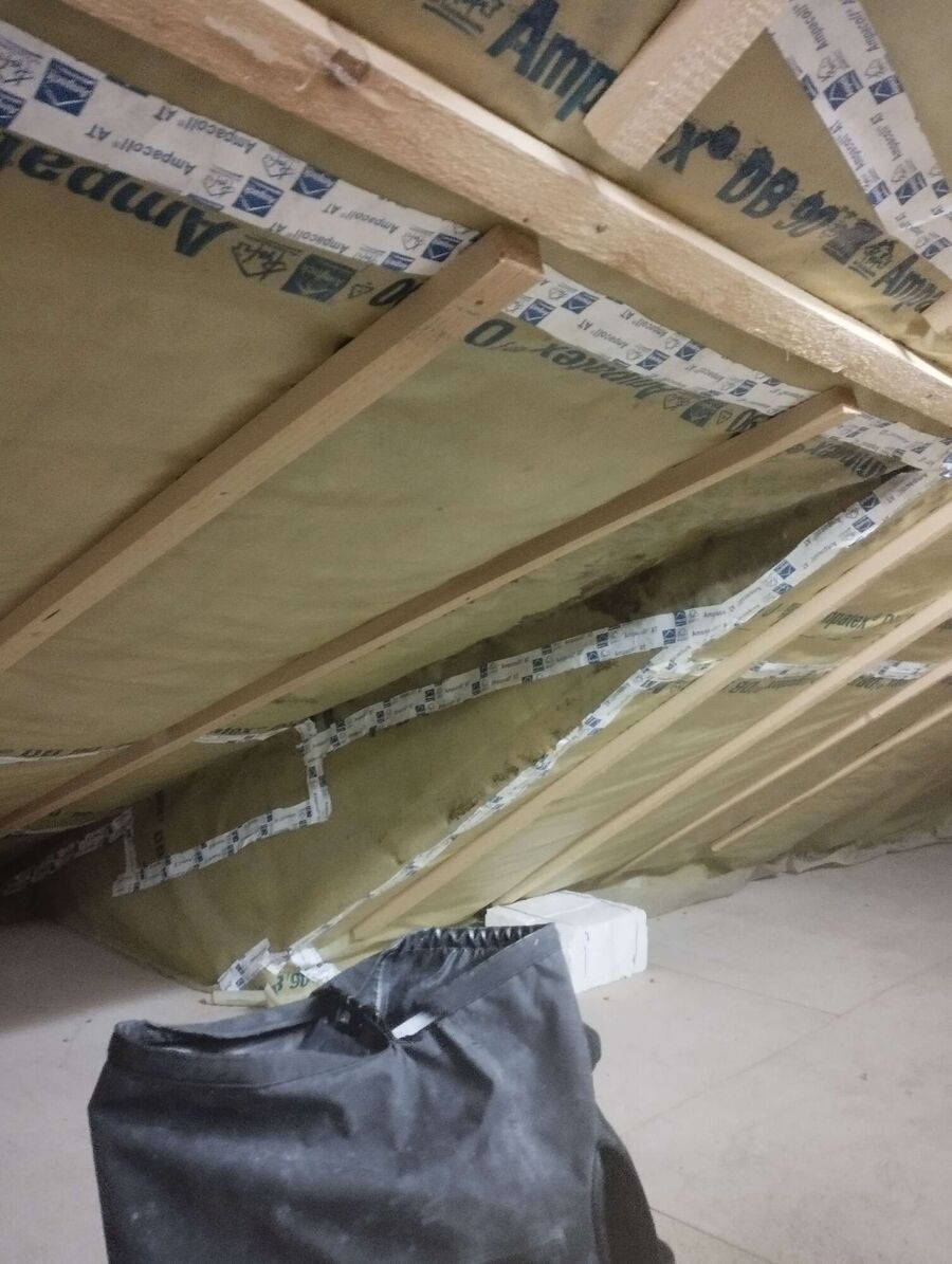 wespennest_entfernen