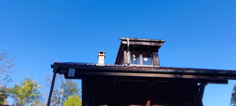 wespennest_entfernen