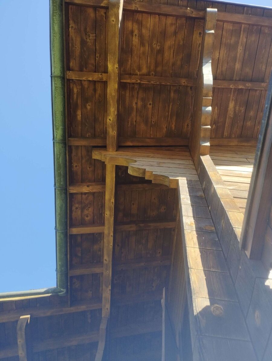 wespennest_entfernen