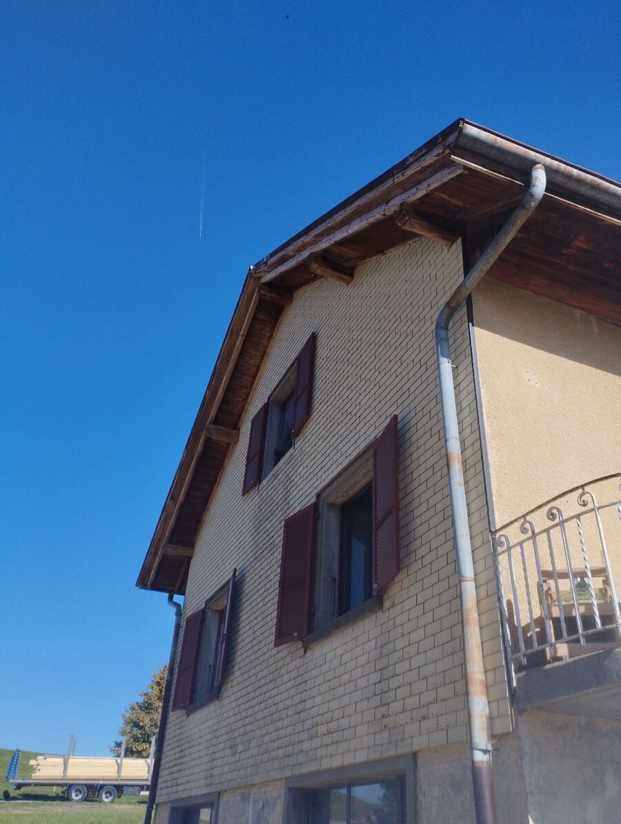 wespennest_entfernen