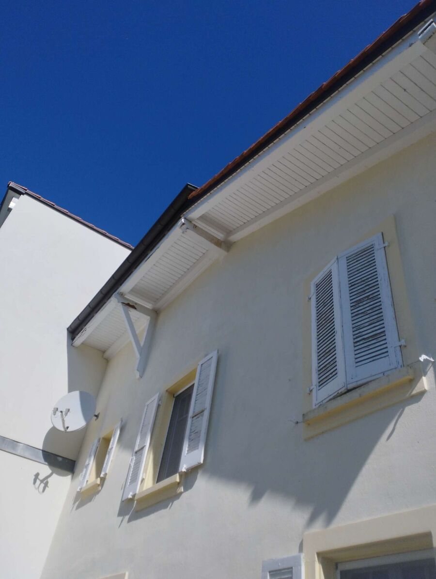 wespennest_entfernen