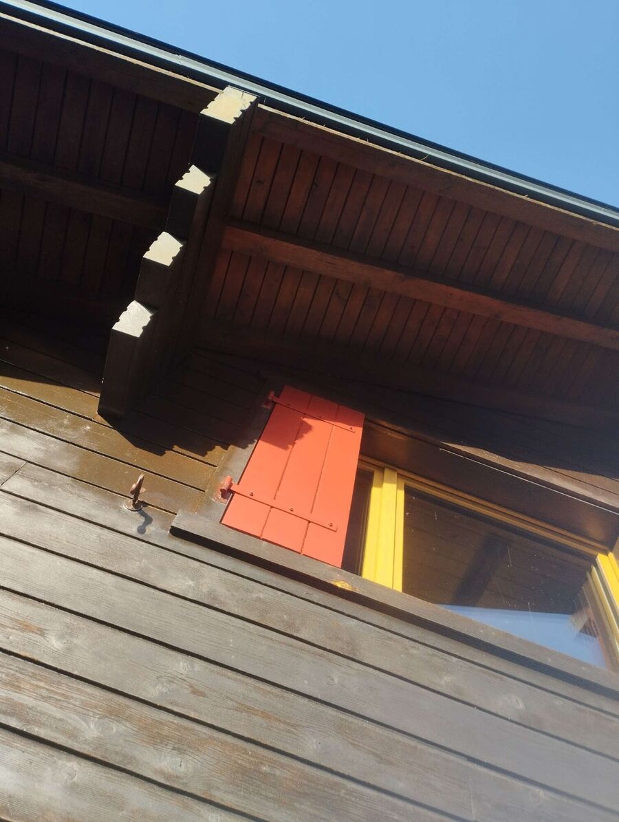 wespennest_entfernen