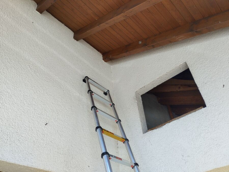 wespennest_entfernen