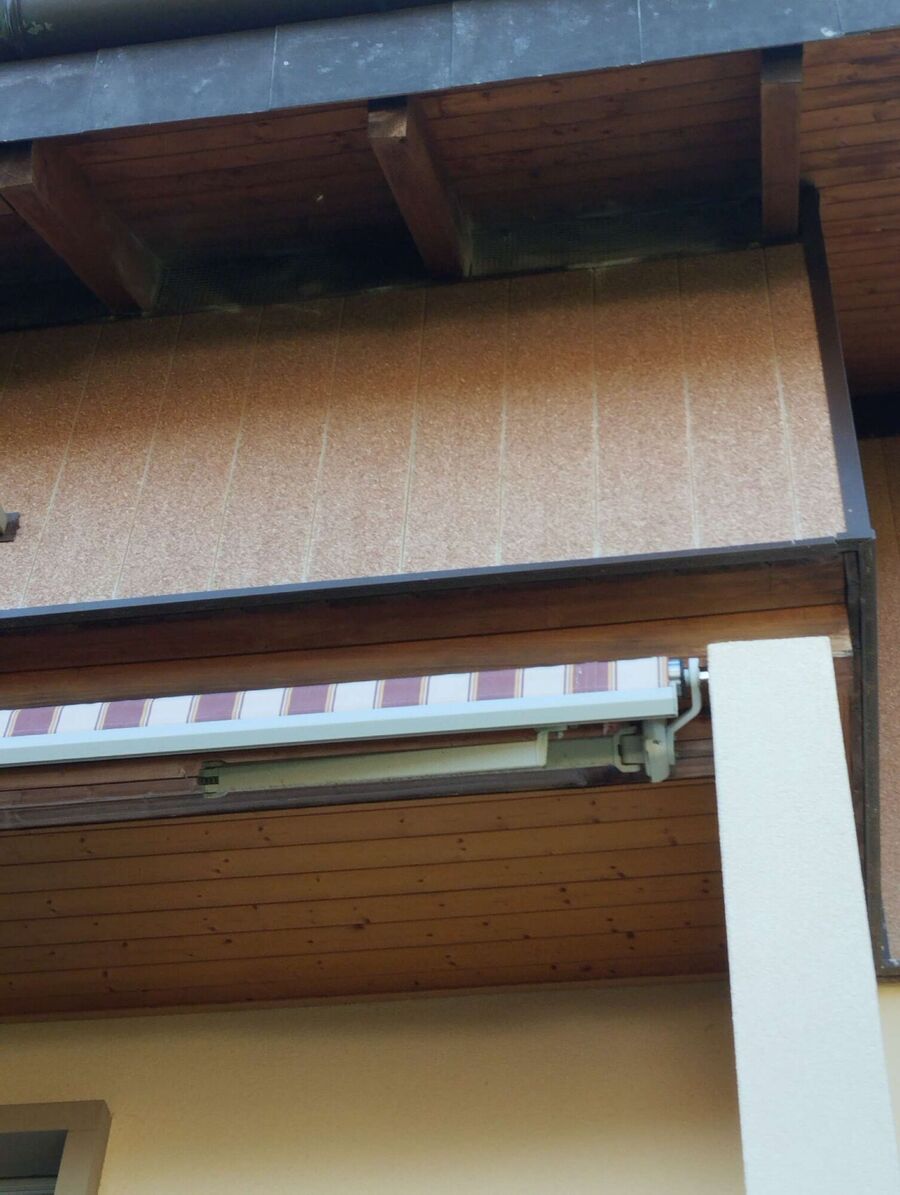 wespennest_entfernen