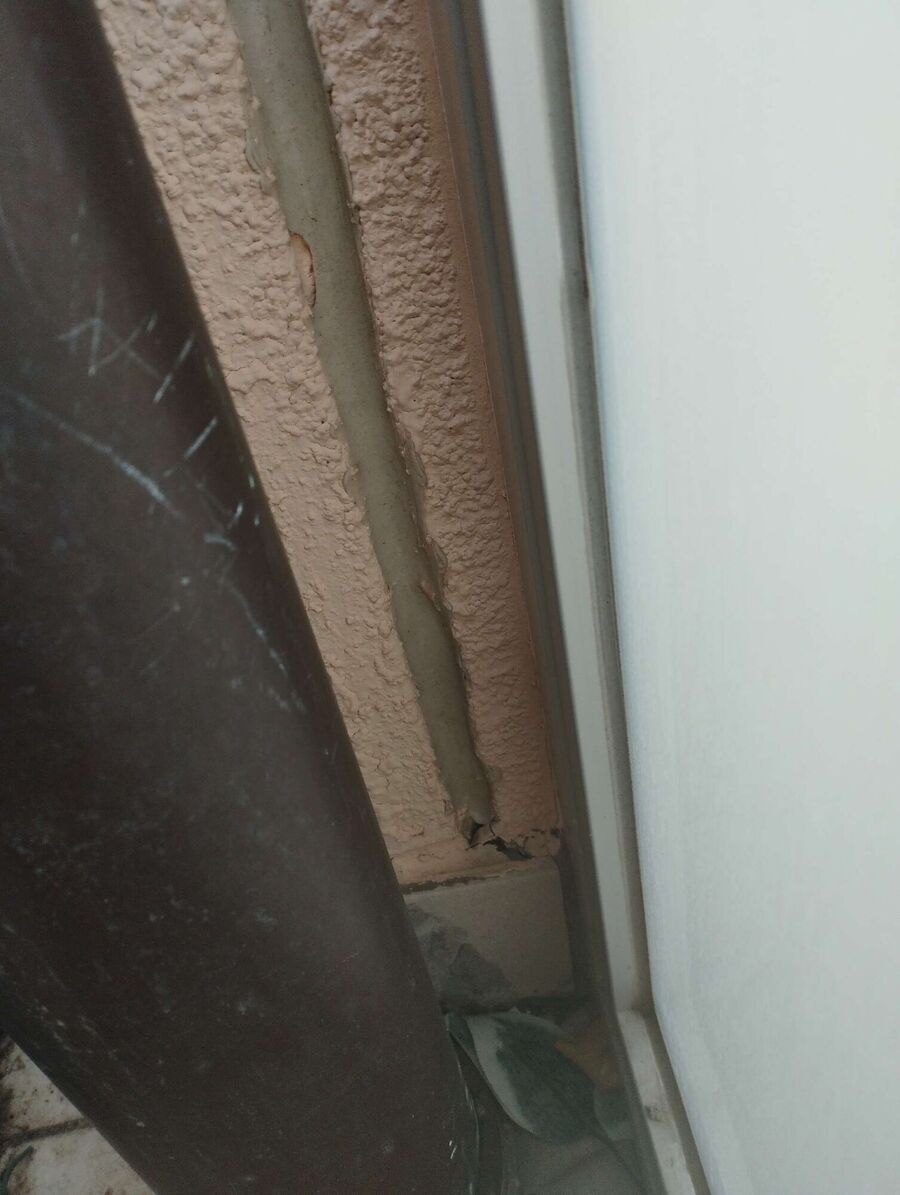 wespennest_entfernen