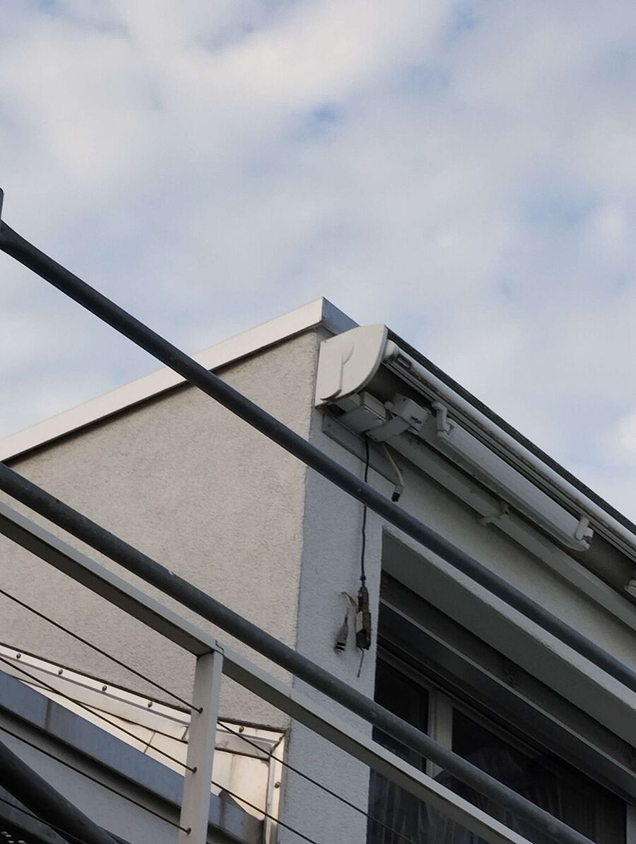 wespennest_entfernen