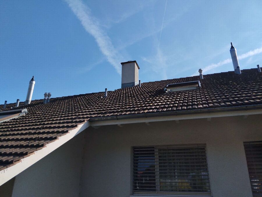 wespennest_entfernen