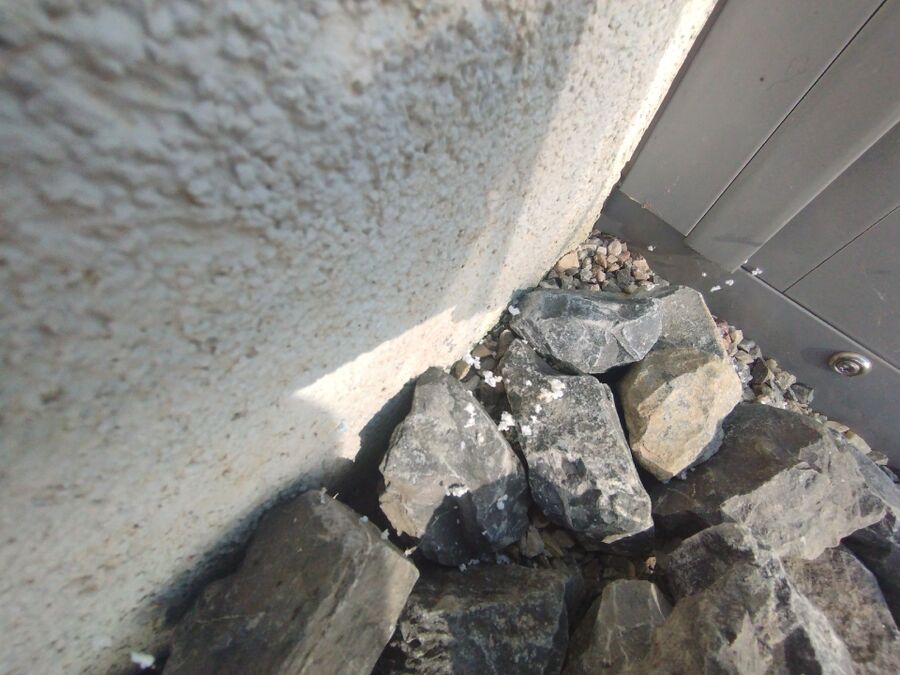 wespennest_entfernen