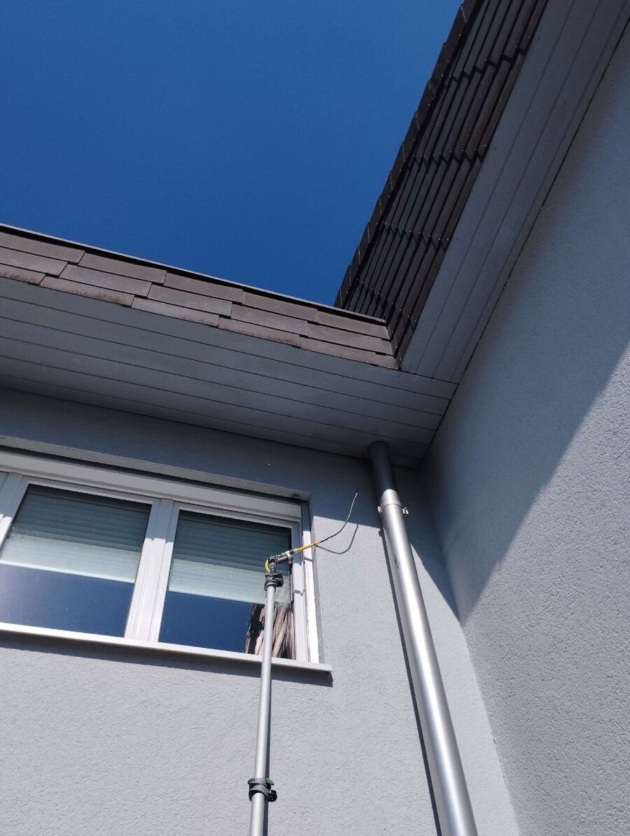 wespennest_entfernen