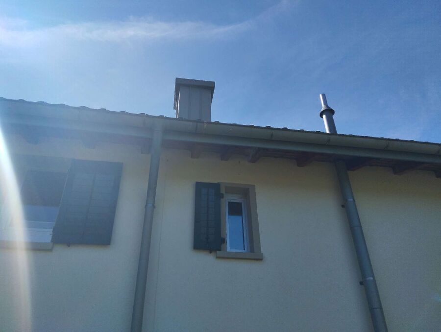 wespennest_entfernen