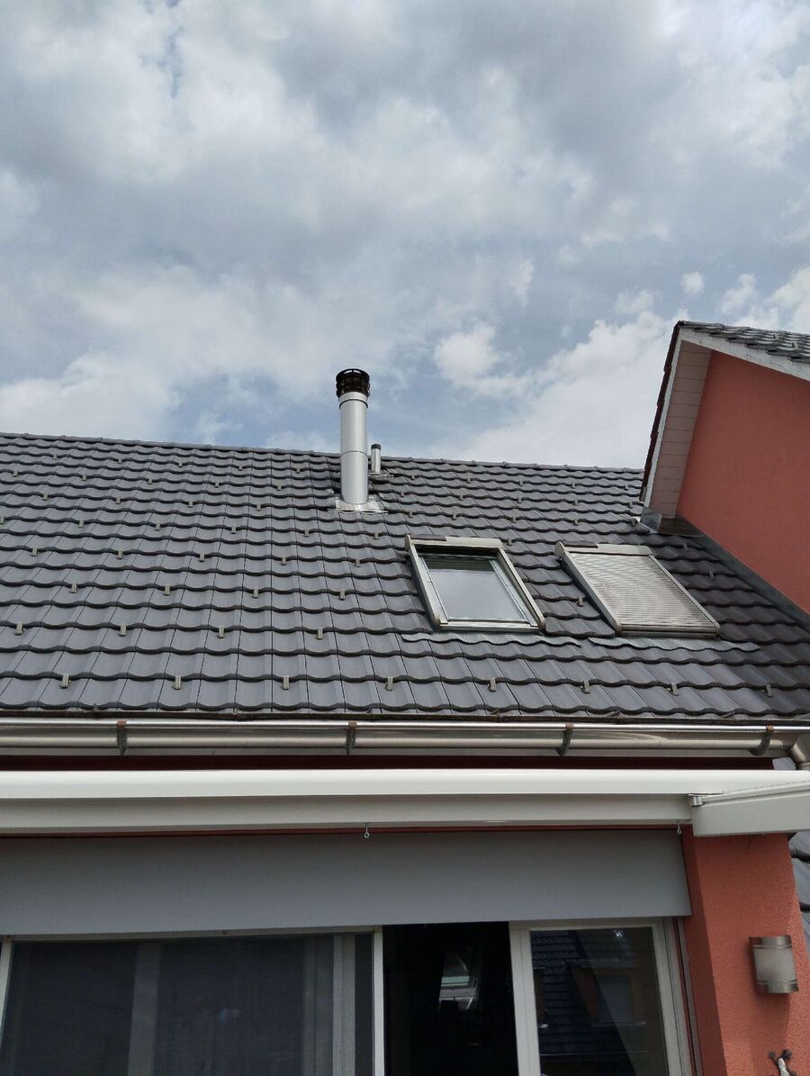 wespennest_entfernen