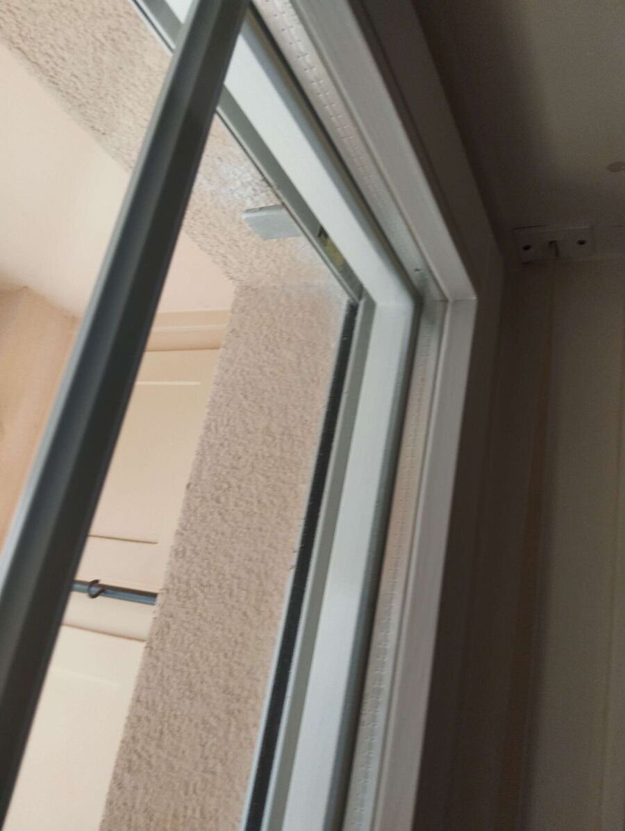 wespennest_entfernen