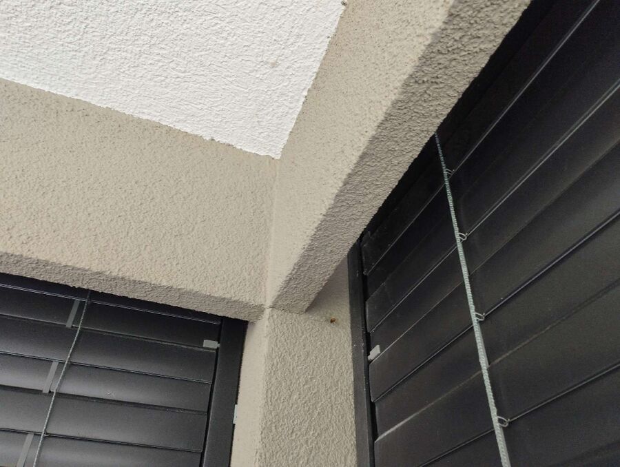 wespennest_entfernen