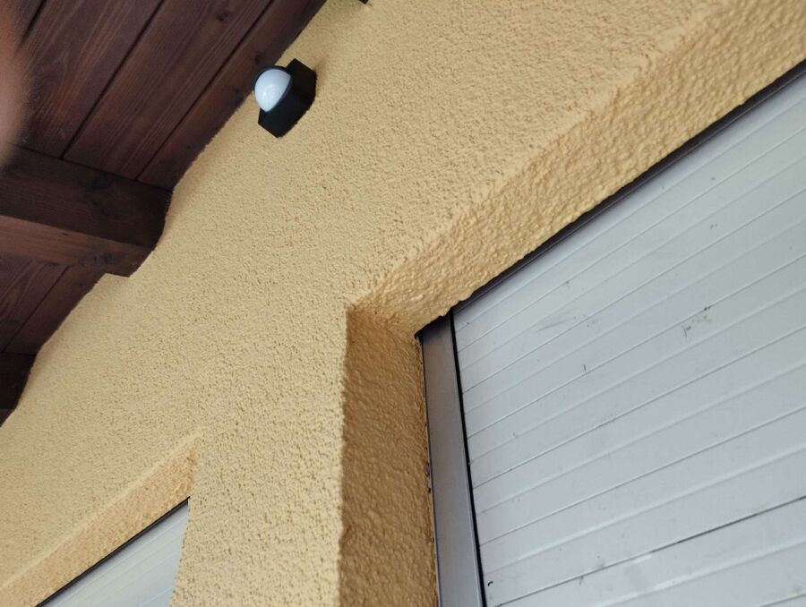 wespennest_entfernen