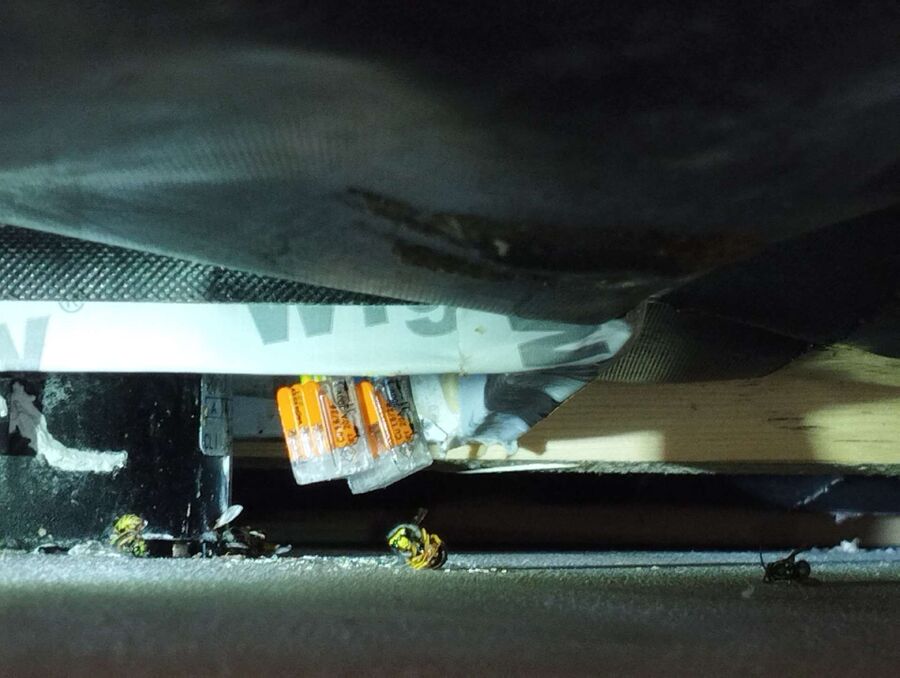 wespennest_entfernen