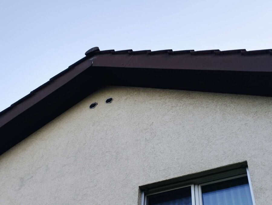 wespennest_entfernen