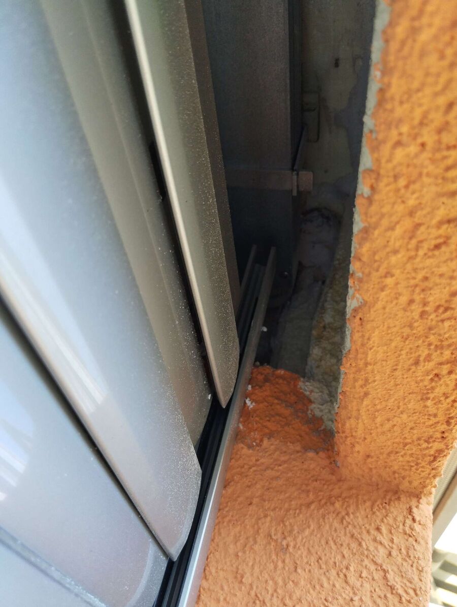 wespennest_entfernen