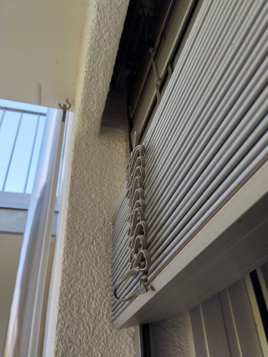 wespennest_entfernen