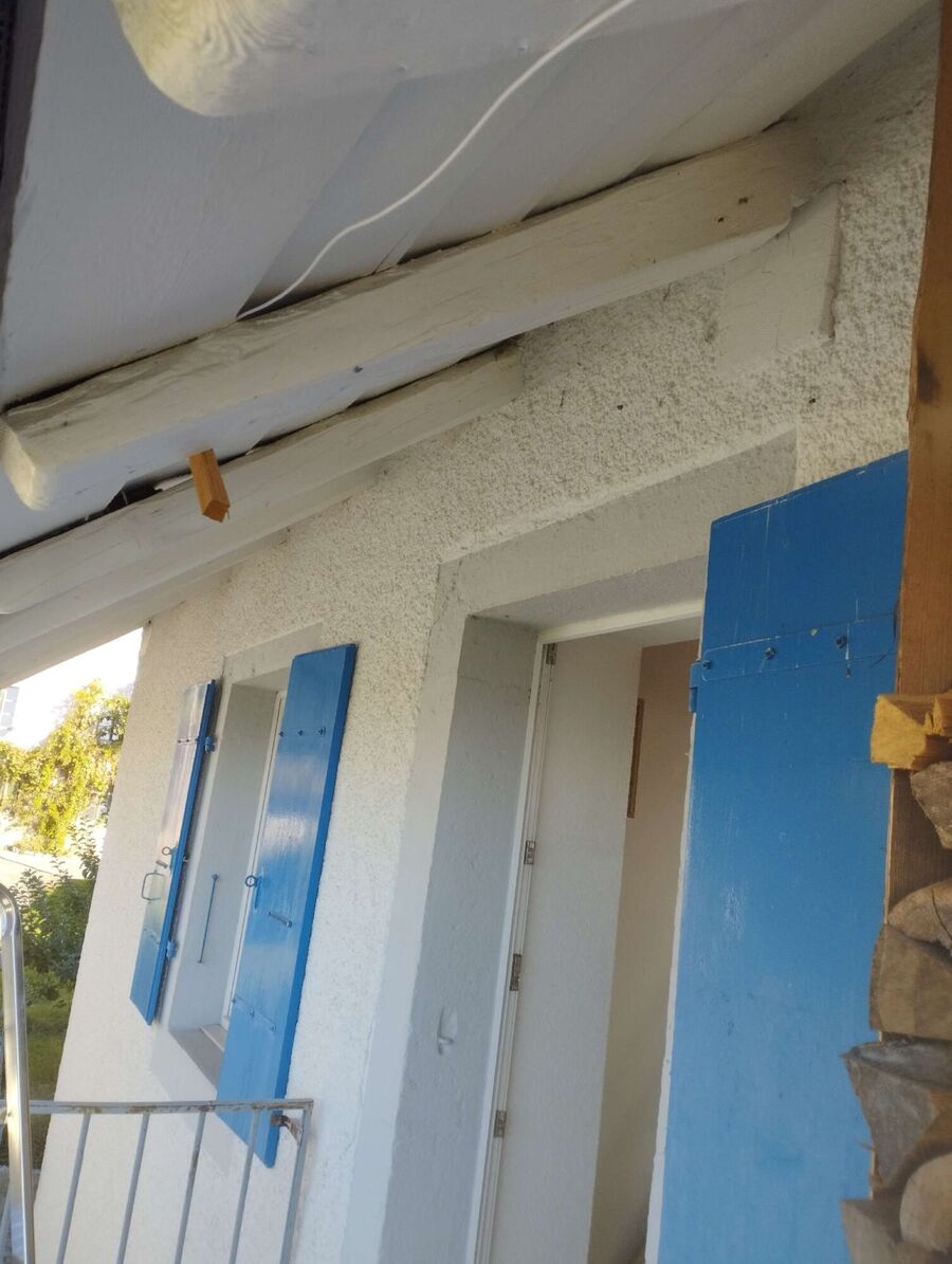 wespennest_entfernen