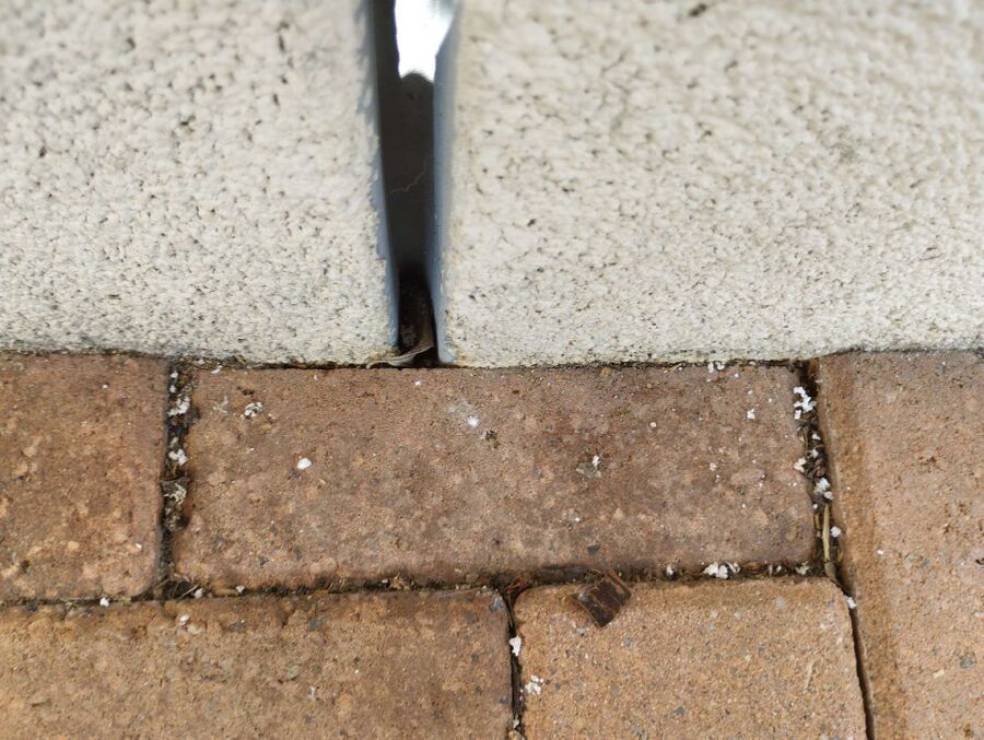 wespennest_entfernen