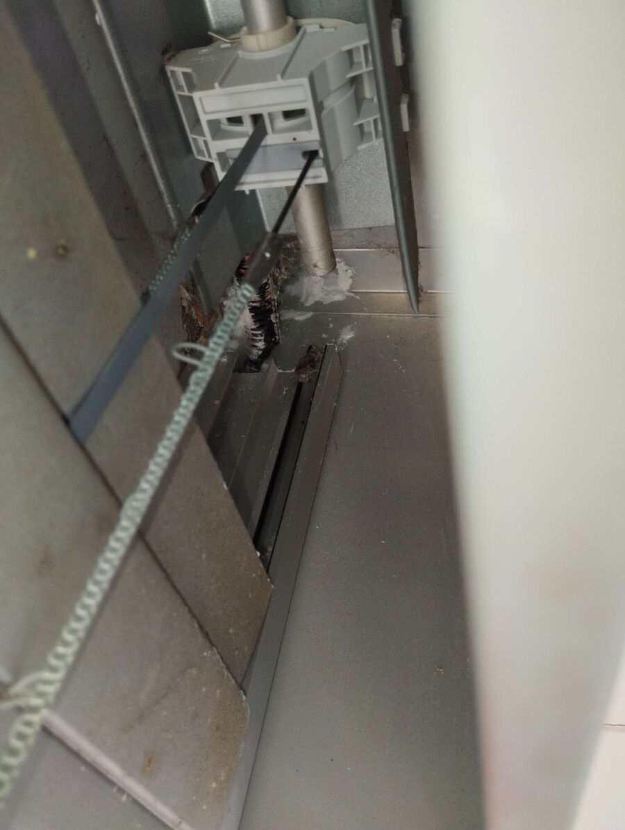 wespennest_entfernen