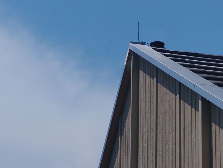 wespennest_entfernen