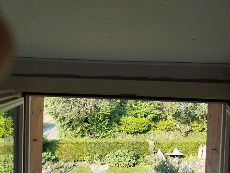 wespennest_entfernen